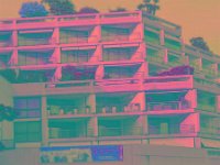 IMGP2870 edited (Medium)